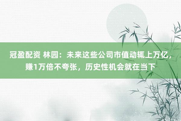 冠盈配资 林园：未来这些公司市值动辄上万亿，赚1万倍不夸张，历史性机会就在当下