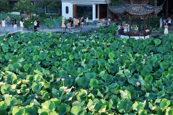 万宝配资 台风“范斯高”正向浙闽沿海靠近, 浙江阵雨天天见