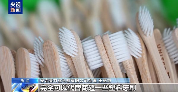 臻富配资 从牙刷到交通护栏 “以竹代塑”让竹子可以“百变”