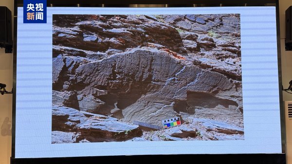 锦富优配 重要发现！我国目前已知唯一存于原址且海拔最高的秦代刻石